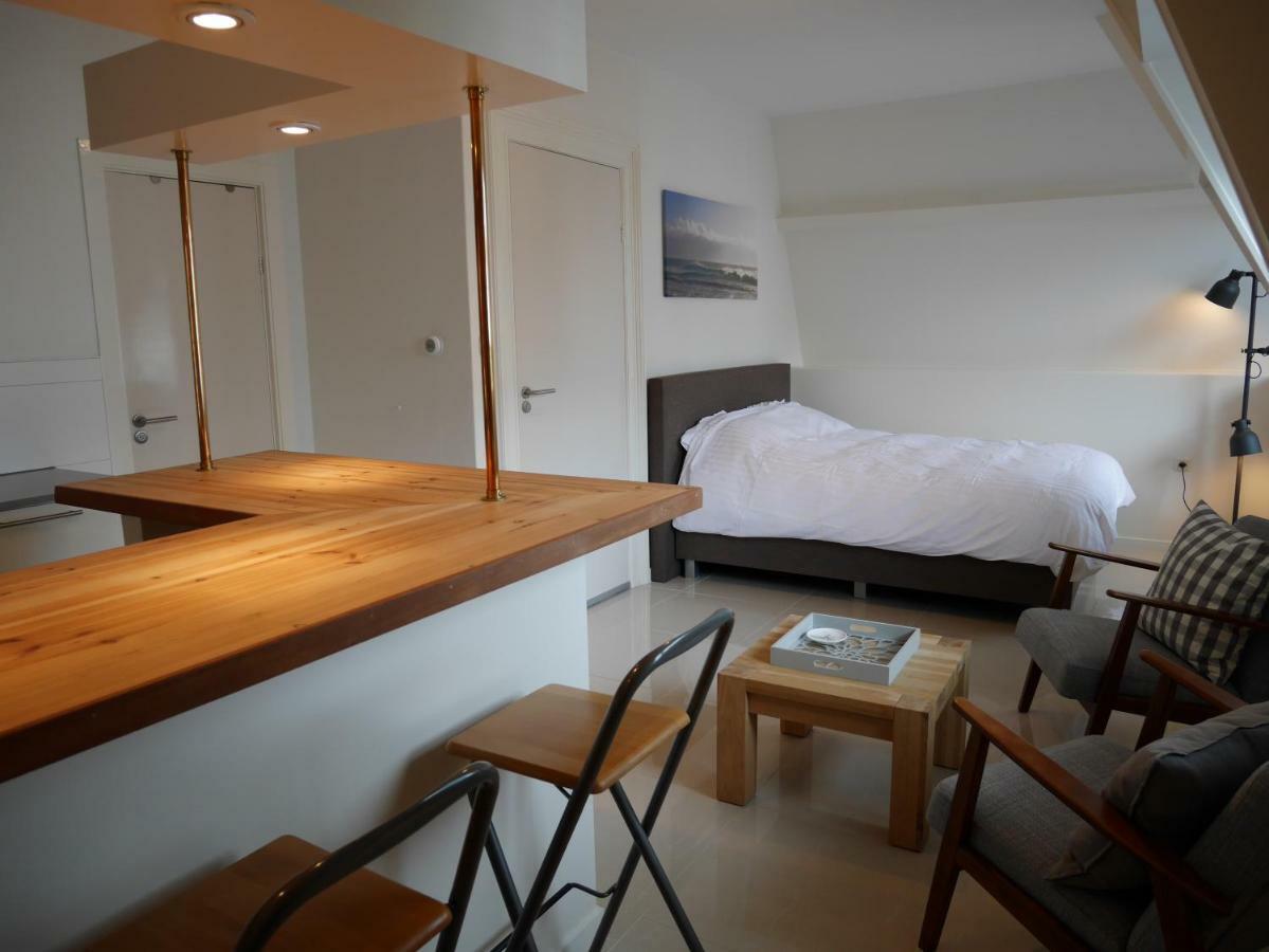 Casa Del Cisne Aparthotel Zandvoort Bagian luar foto